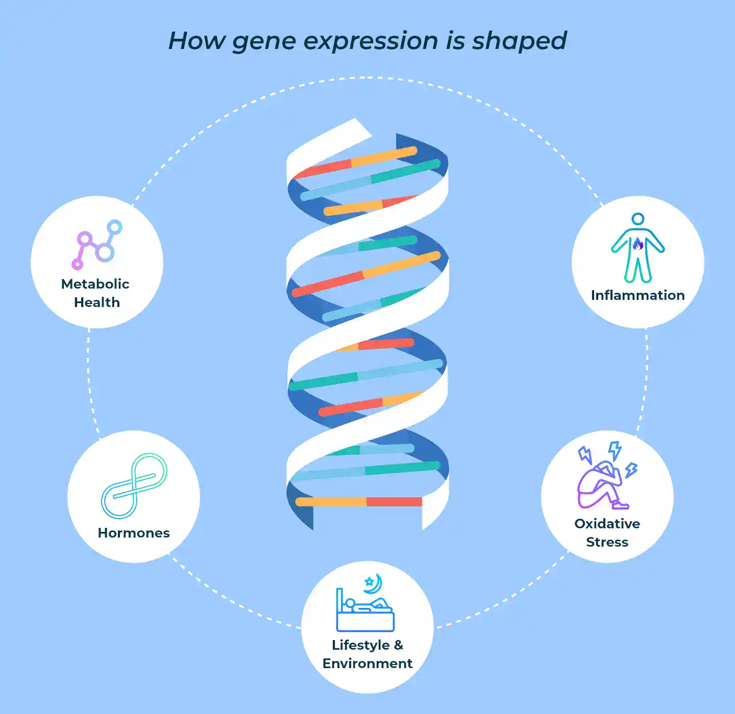 Your genes are not your destiny